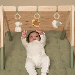 Babygym Little Farm