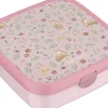 Bento Lunchbox Campus Groot - Fairy Garden