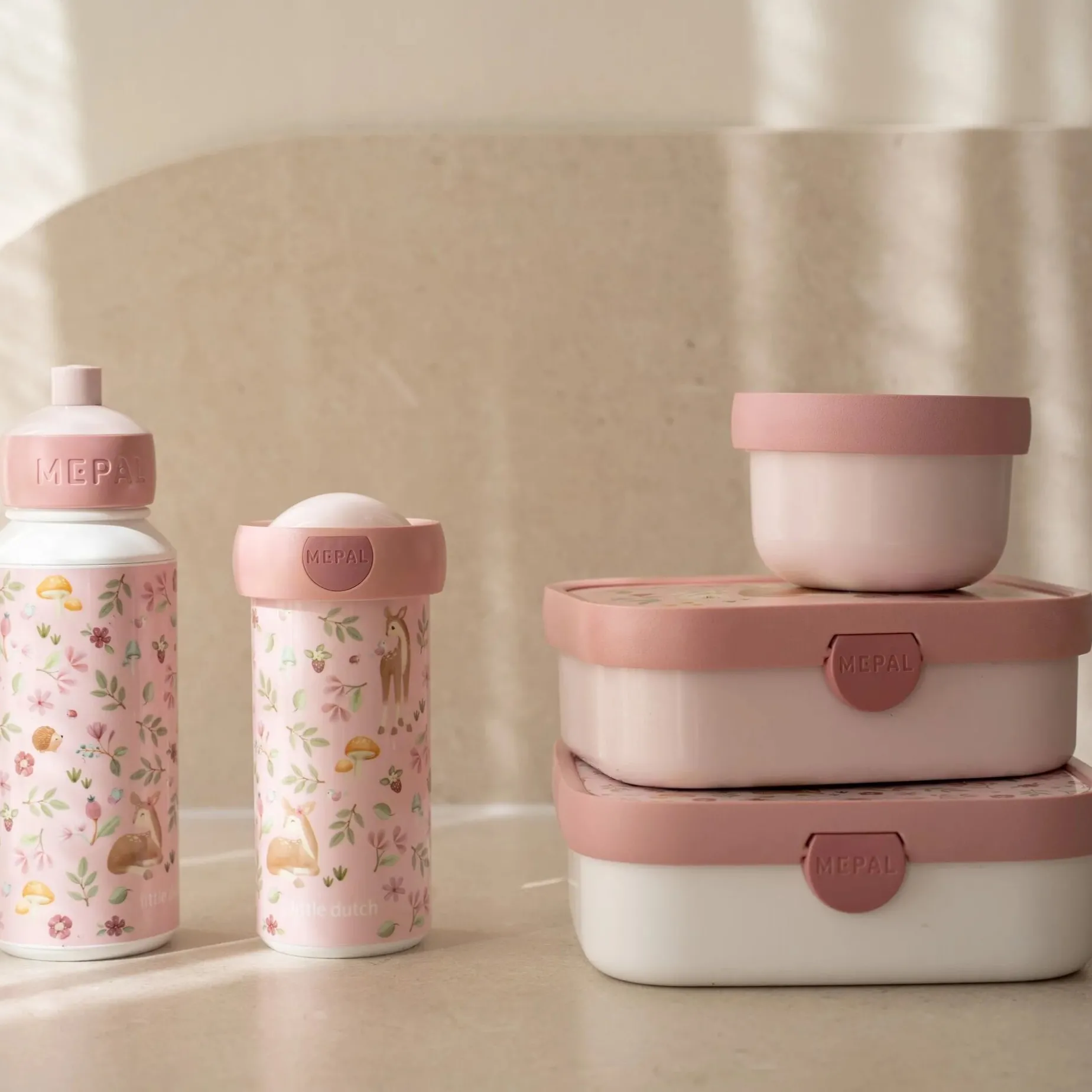 Lunchbox Fairy Garden