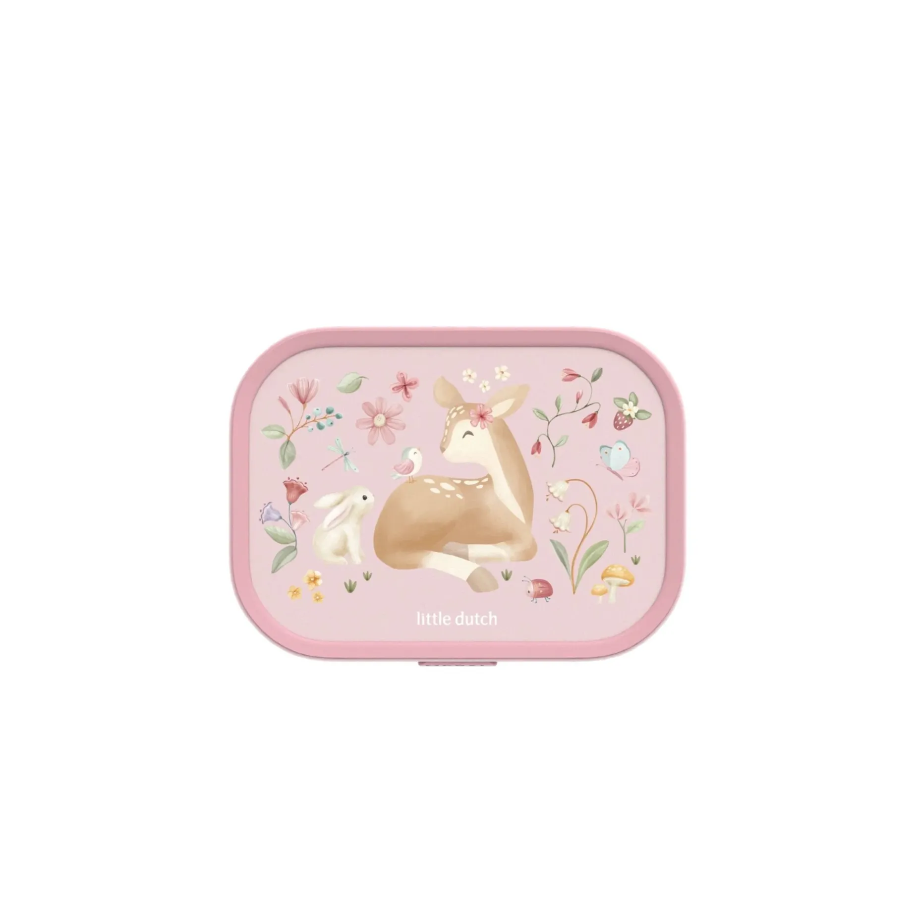 Lunchbox Fairy Garden
