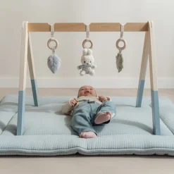 nijntje babygym - Blauw - Lucky Leaves