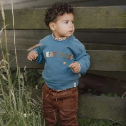 Ribbroek - Bruin - Little Farm