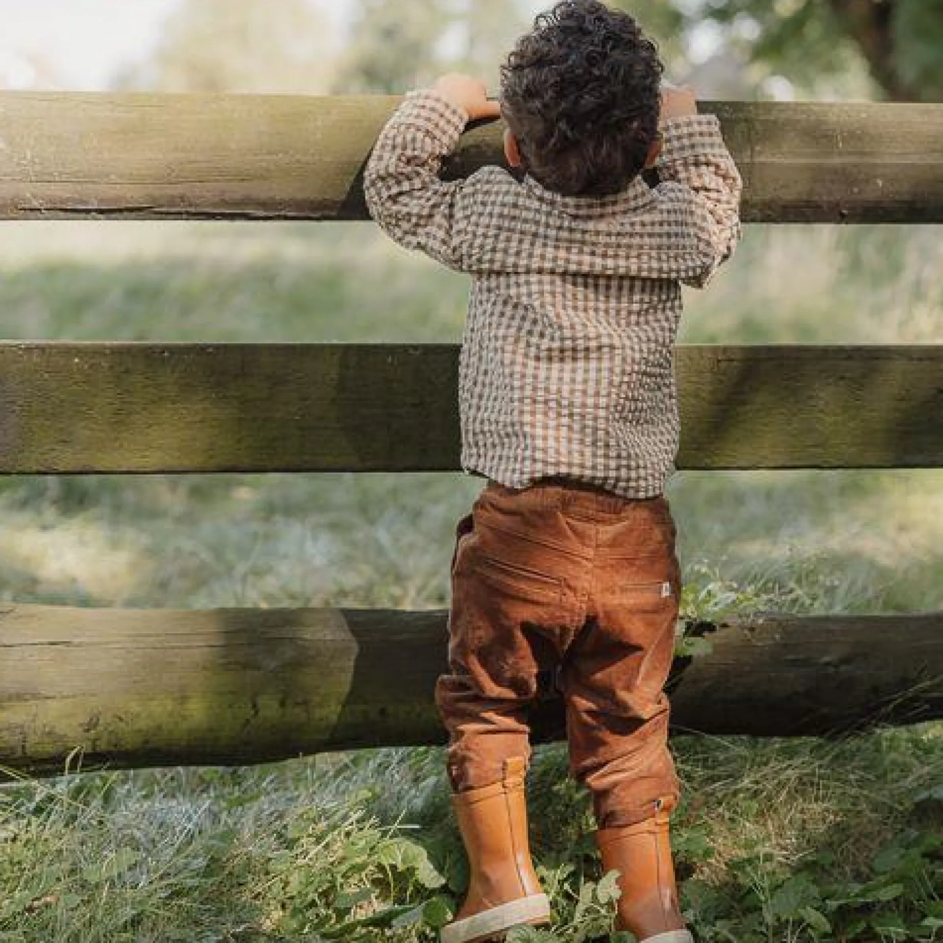 Ribbroek - Bruin - Little Farm