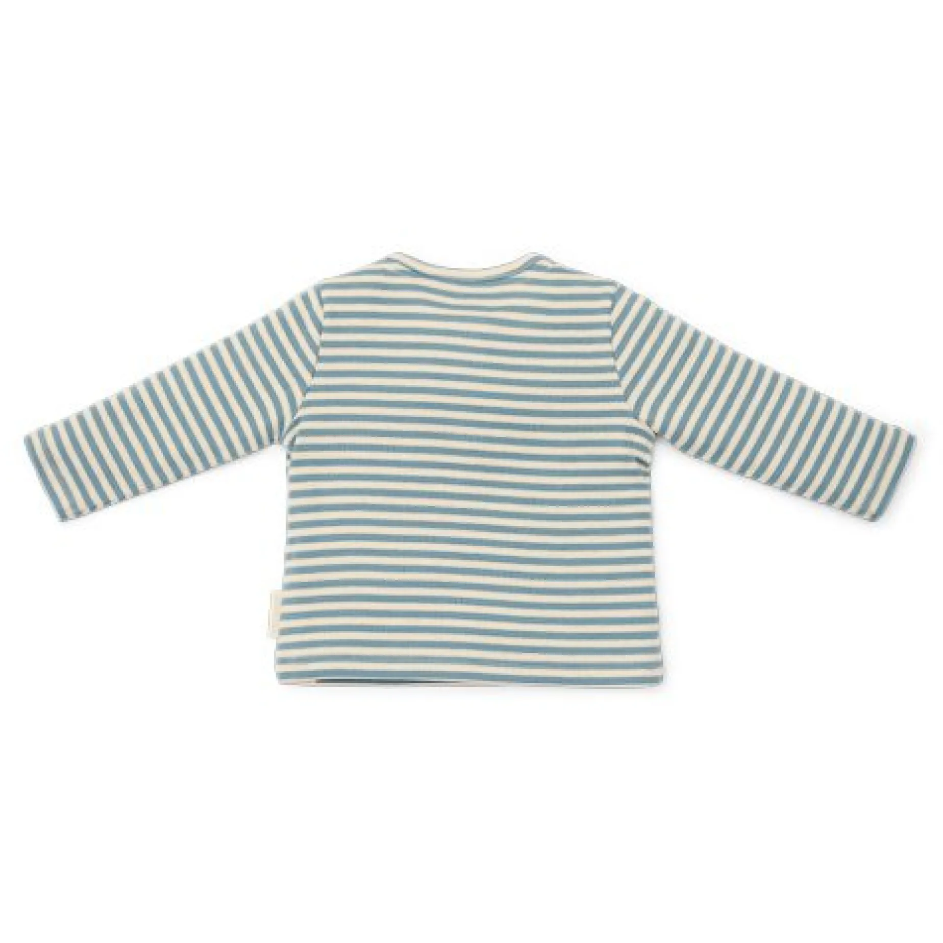 Shirt lange mouw - Blauw - Forest Friends - Stripe