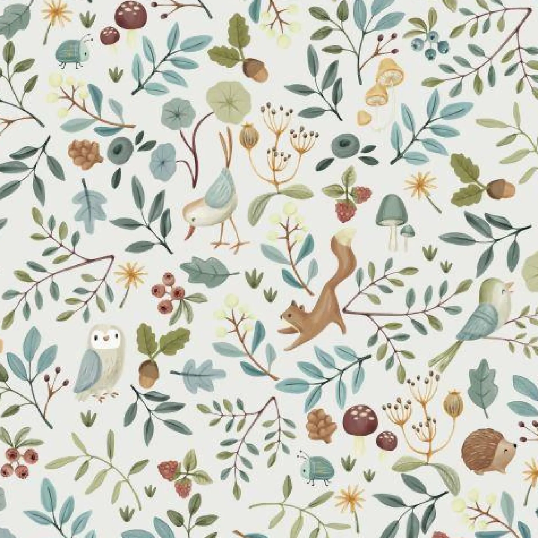 Vliesbehang - Meerkleurig - Forest Friends - Forest Wonders